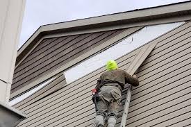 Best Storm Damage Siding Repair  in Palmetto, FL